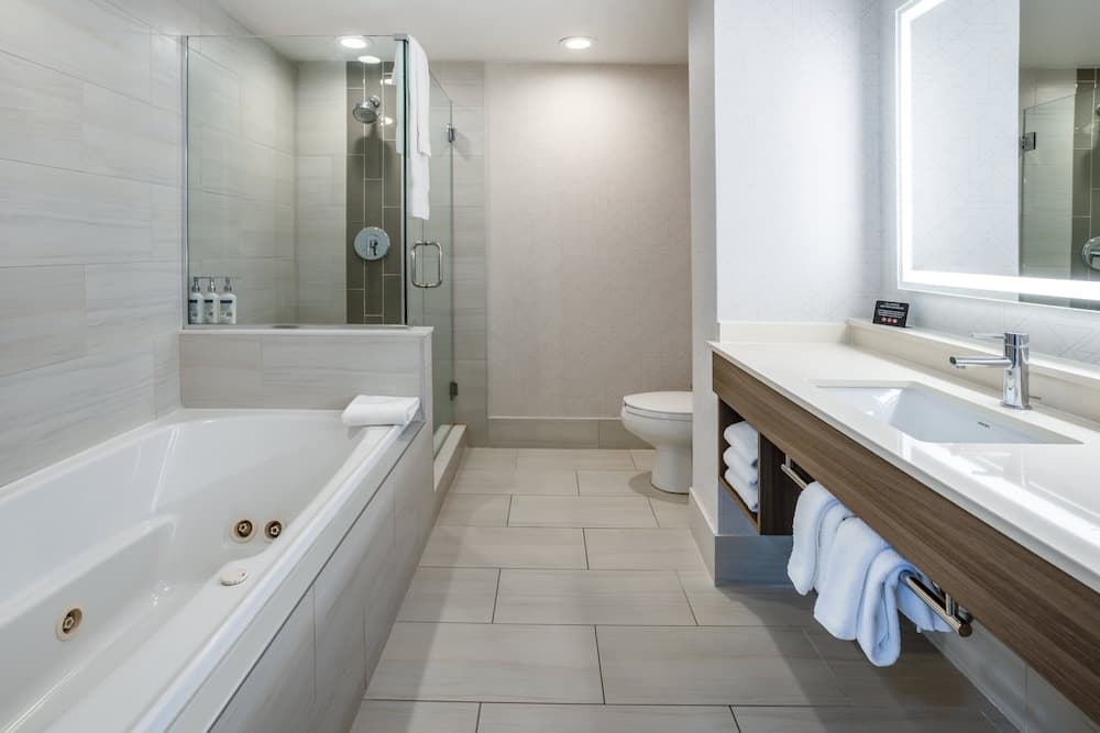 Holiday Inn Express Hotel & Suites New Tampa I-75 by IHG — 18
