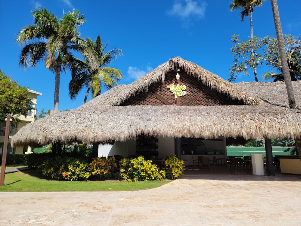 Impressive Premium Punta Cana — 16