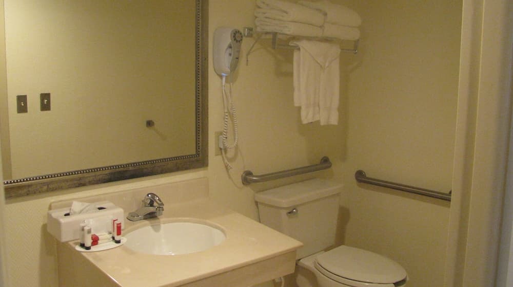 Ramada Plaza Resort & Suites by Wyndham Orlando Intl Drive — 20