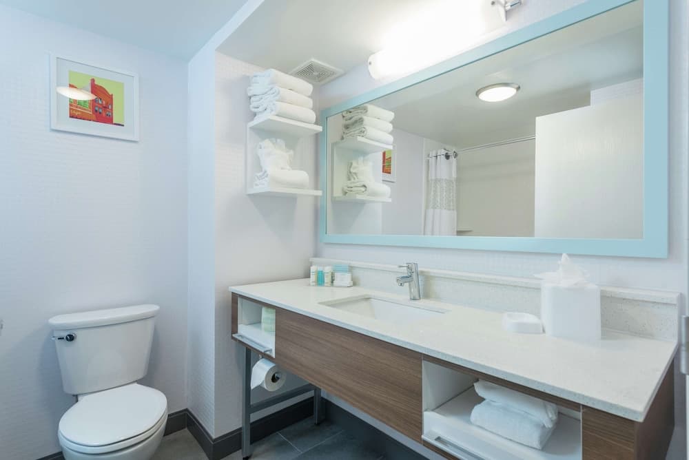 Hampton Inn Tampa-Veterans Expwy (Aeroporto Nord) — 12