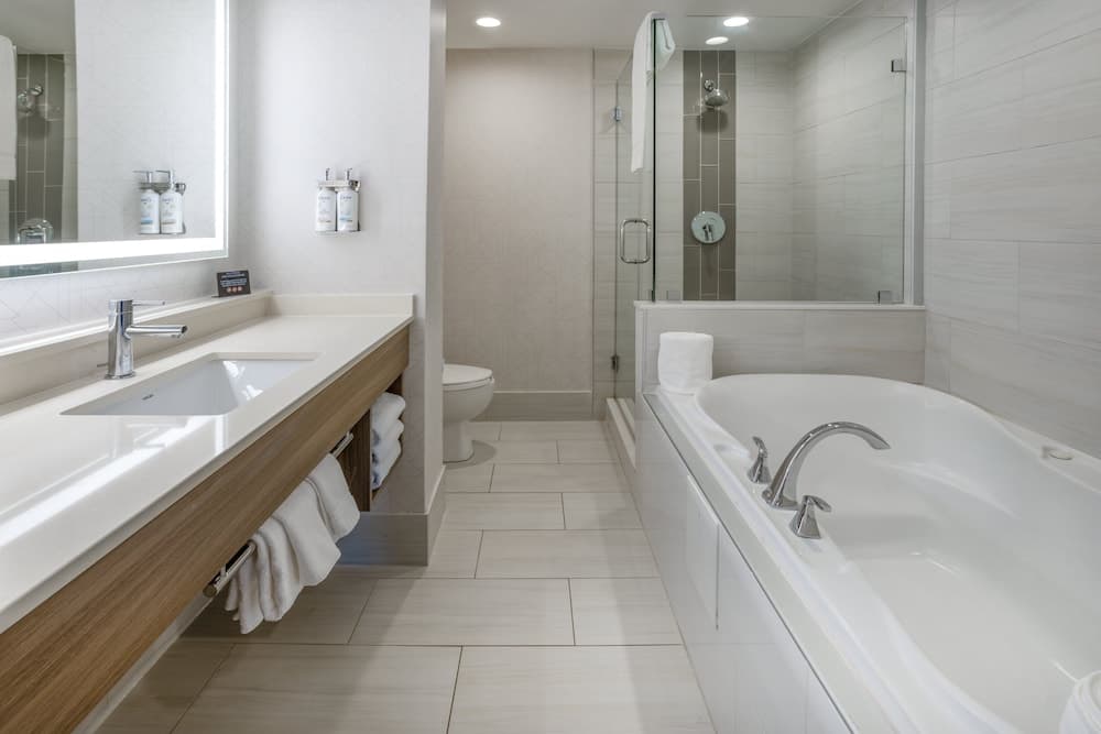 Holiday Inn Express Hotel & Suites New Tampa I-75, un hotel IHG — 7