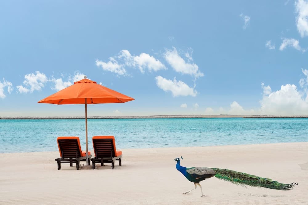 JA Il Resort - JA Palm Tree Court, Dubai — 2