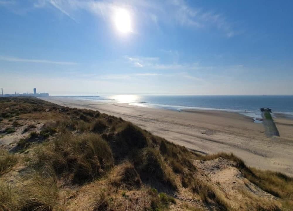 Courtyard by Marriott Orlando International Dr / Conv Cntr — 10