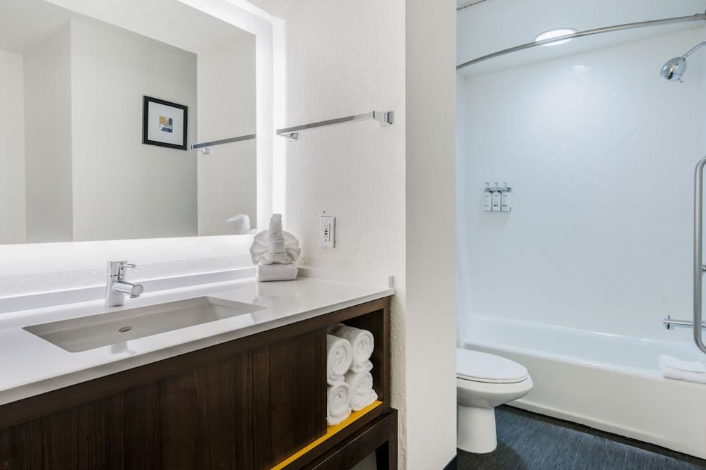 Holiday Inn Orlando International Dr-ICON by IHG — 27