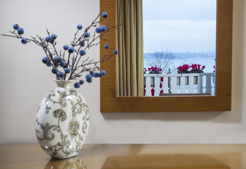 Radisson Hotel Istanbul Sultanahmet — 13
