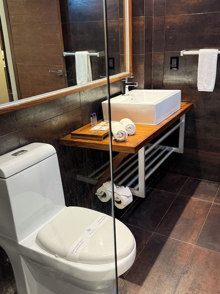 Hotel Kavia Quinta Avenida — 25