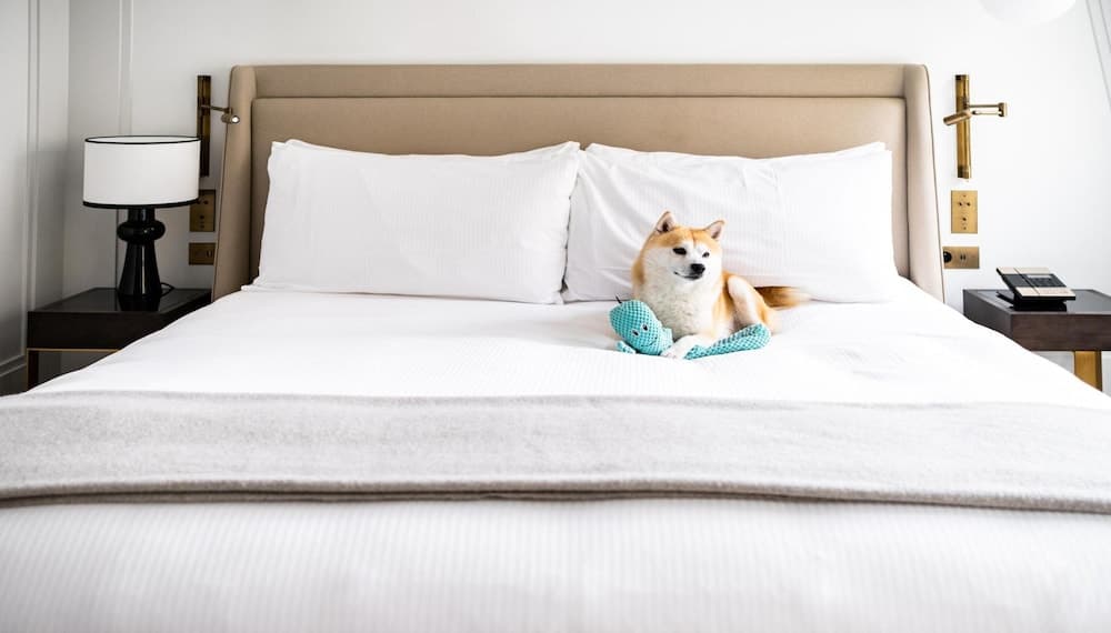 Kimpton St Honore Paris, un Hotel IHG — 2