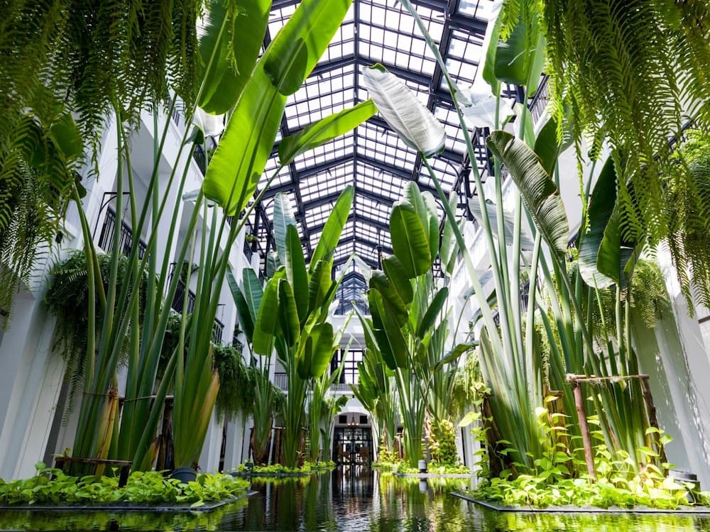 Das Siam — 3