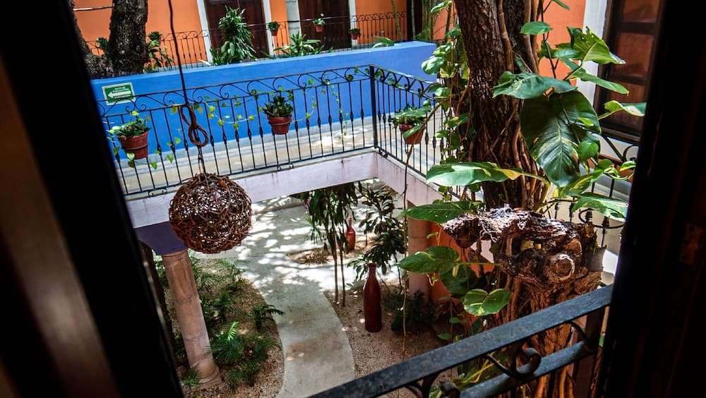 Hotel Casa De Las Flores — 6