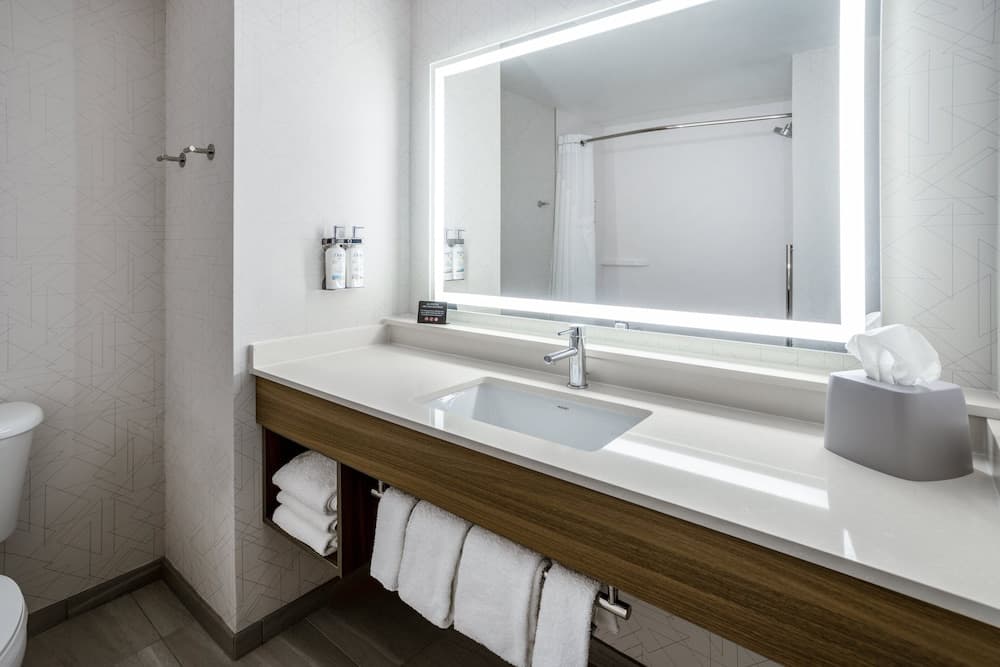 Holiday Inn Express Hotel & Suites New Tampa I-75, un hotel IHG — 4