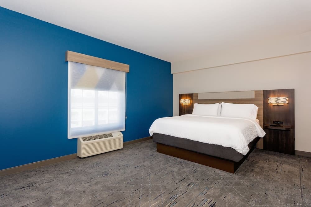 Holiday Inn Express Tampa N I-75 - Área universitaria, un hotel IHG — 18