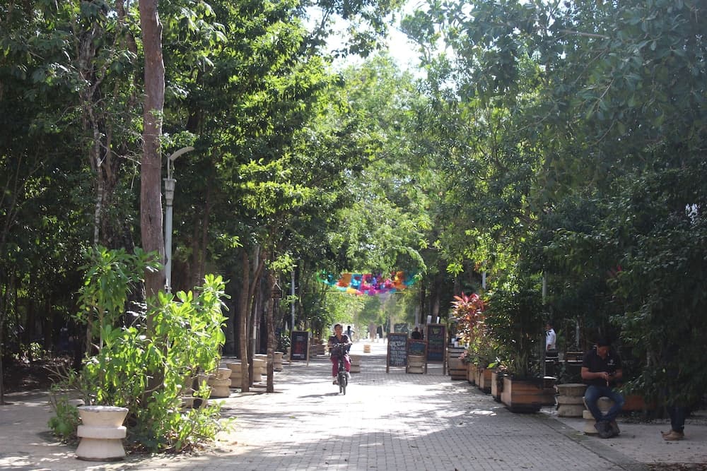 Calea Tulum — 6