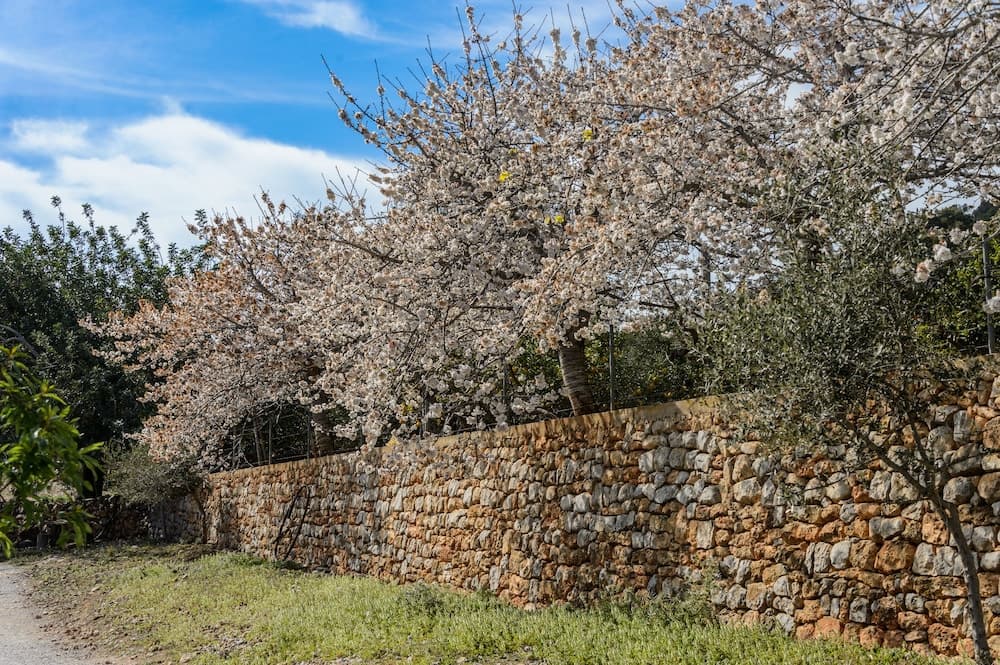 Agroturismo Can Prats — 22