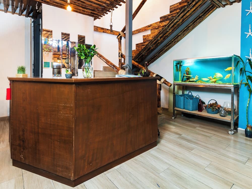 Capital O Posada Del Pescador, Los Cabos — 3