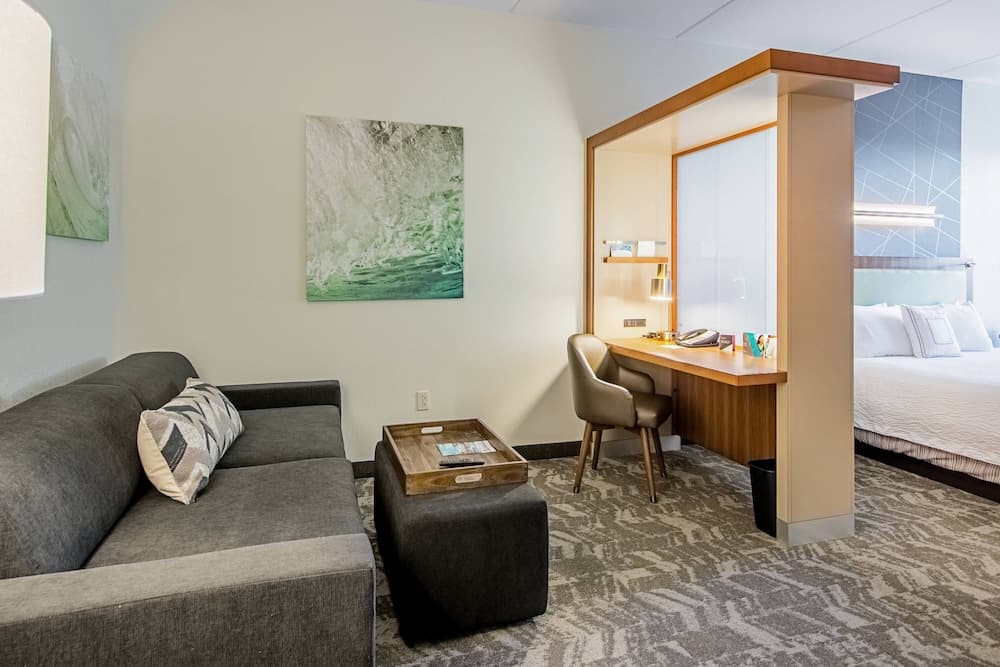 SpringHill Suites by Marriott Tampa North/I 75 Tampa Palms — 16