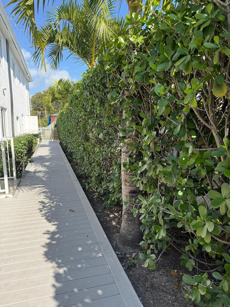 Renzzi Villas — 24