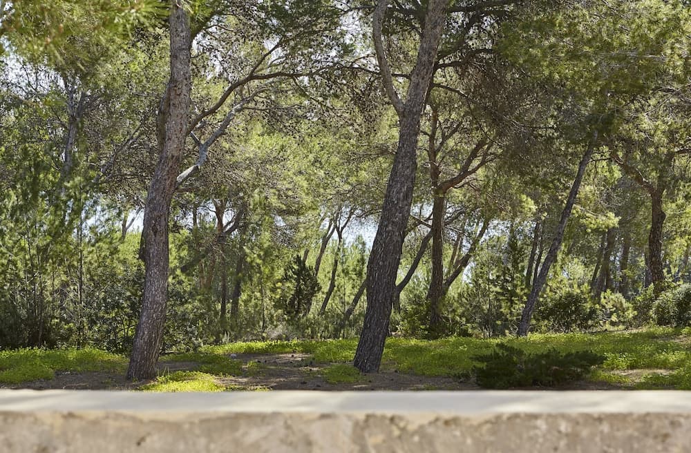 Villa Es Raig Ibiza — 2