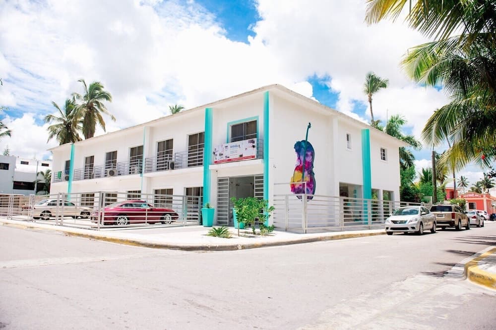 Art Villa Dominicana — 1