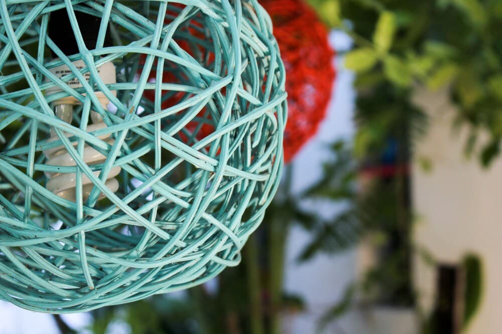 Vainilla B&B Messico — 3