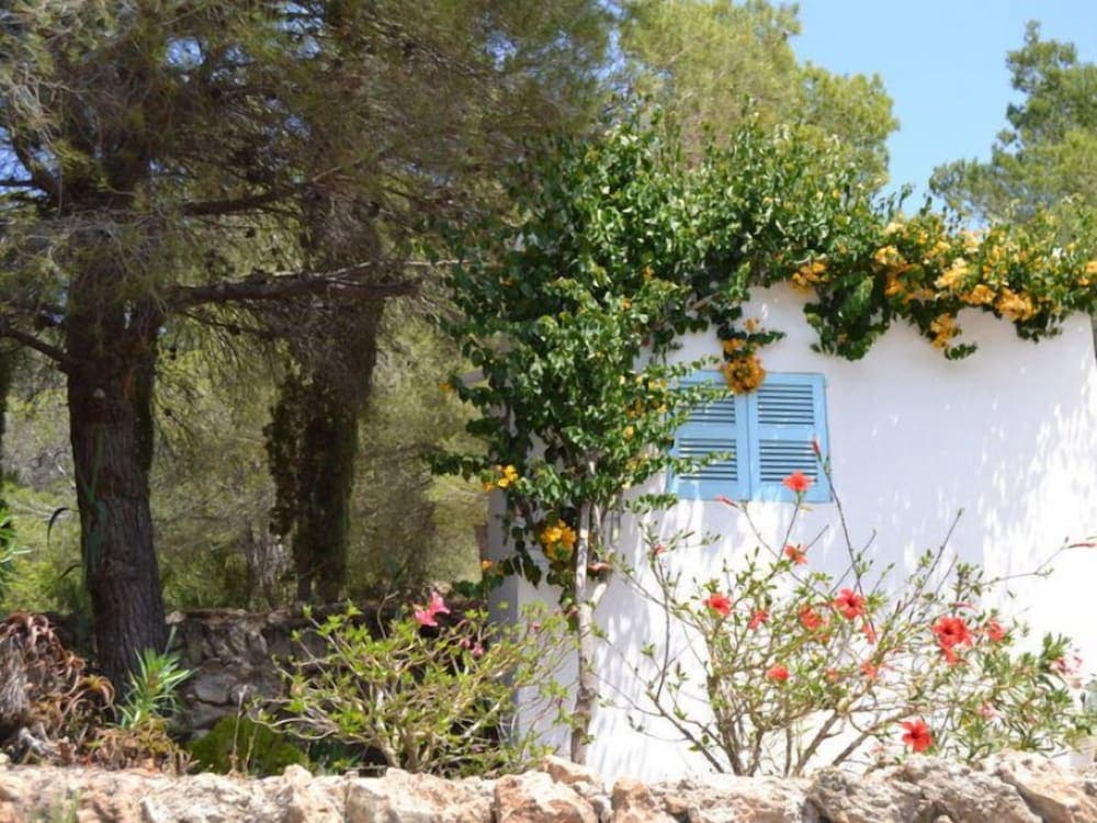 Can Mateu Casa - Can Mateu Haus — 11