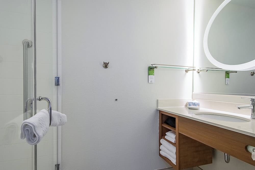SpringHill Suites by Marriott Tampa North/I 75 Tampa Palms — 7