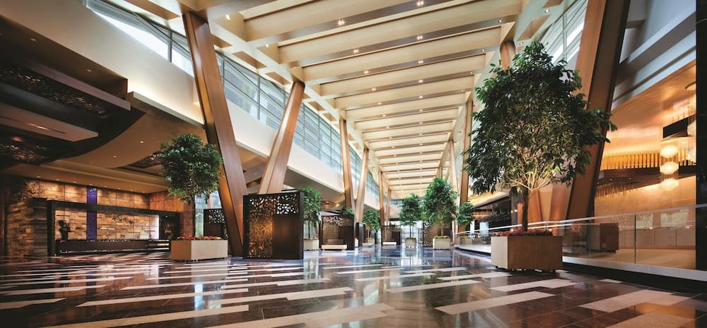 ARIA Sky Suite — 4
