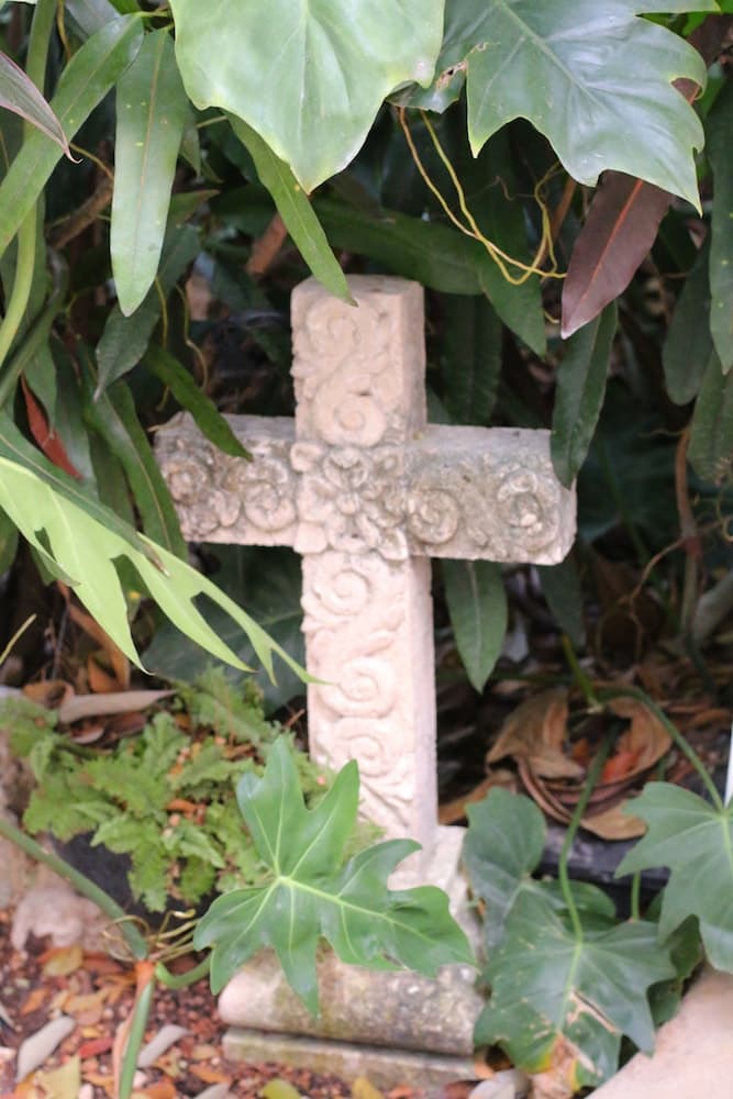 Livetulum — 12