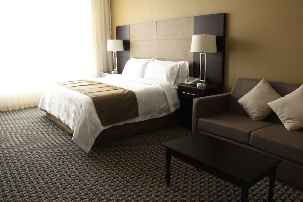 Holiday Inn México Santa Fe, un Hotel IHG — 13