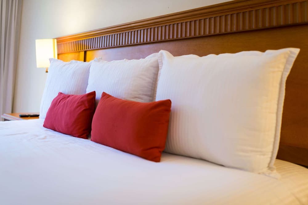 El Resort y Spa Reef Coco Beach - Todo Incluido Opcional — 13