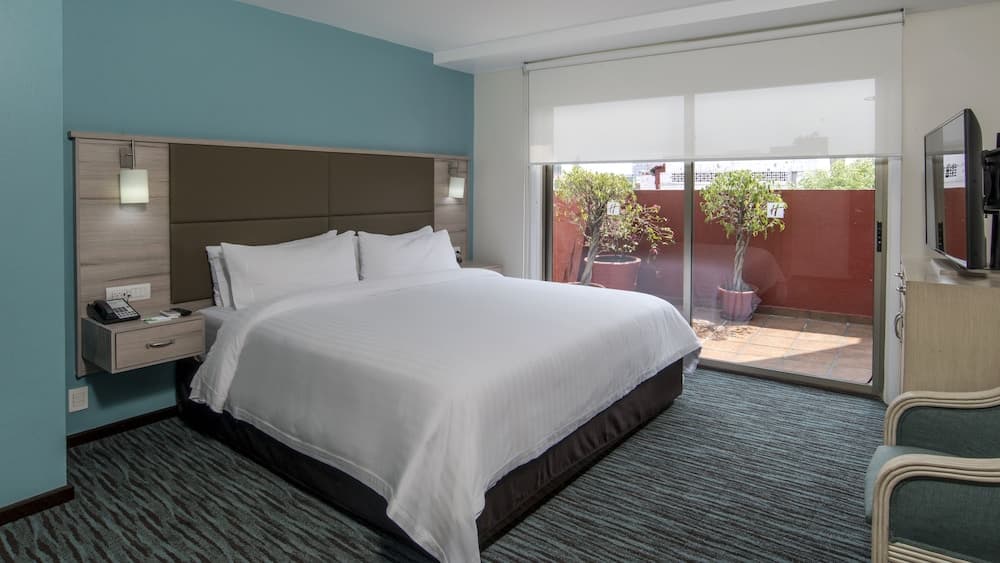 Holiday Inn & Suites Messico Zona Reforma by IHG — 8