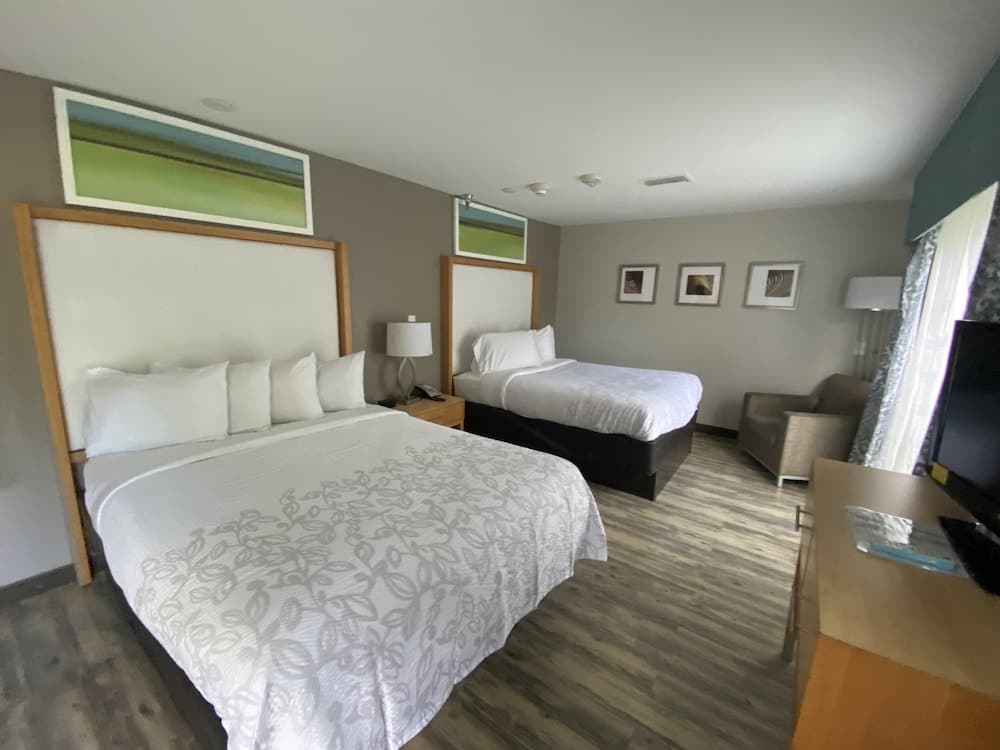 Red Roof Inn PLUS+ & Suites Tampa — 14