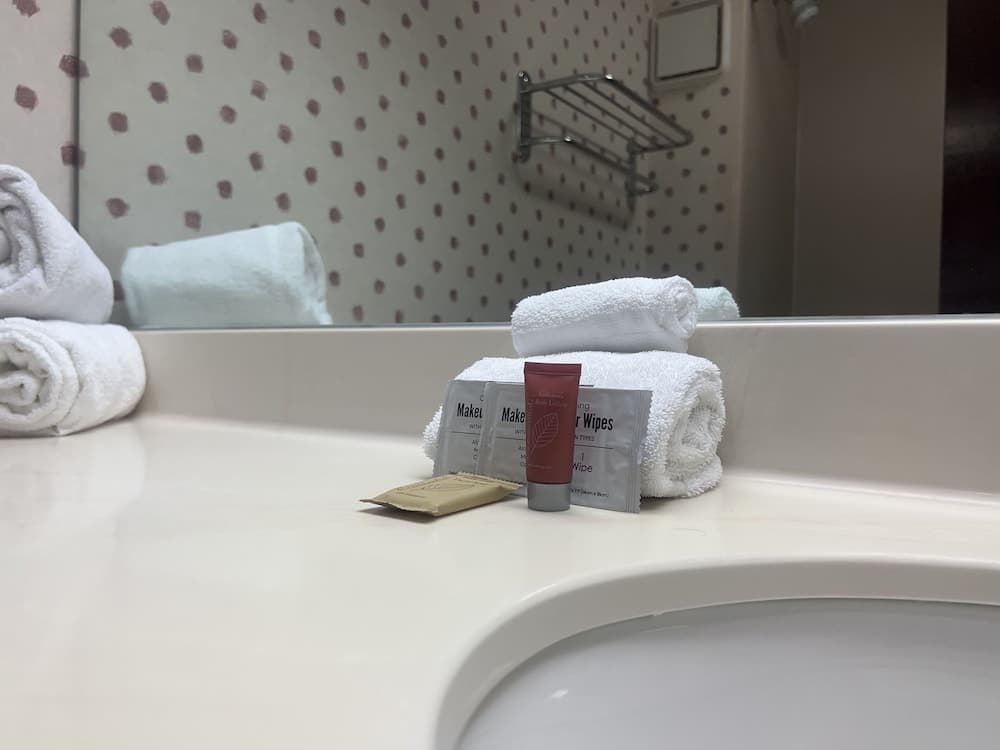 Orlando Palms Hotel — 14