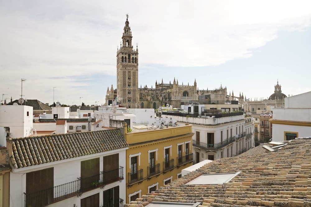 Numa Seville Molina — 17