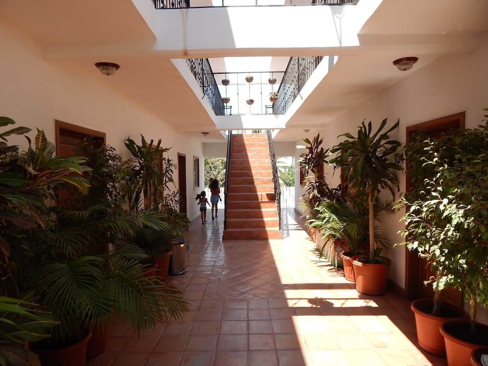 Cabo Cush Hotel — 6