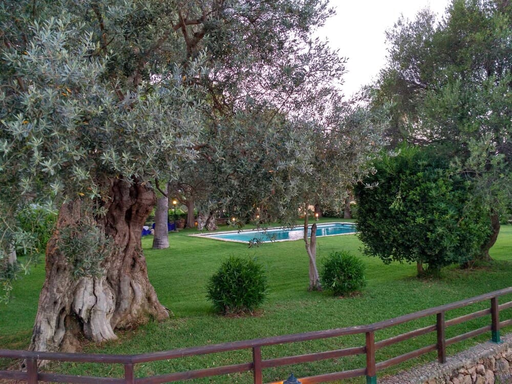 Agroturismo Finca Son Amora — 2