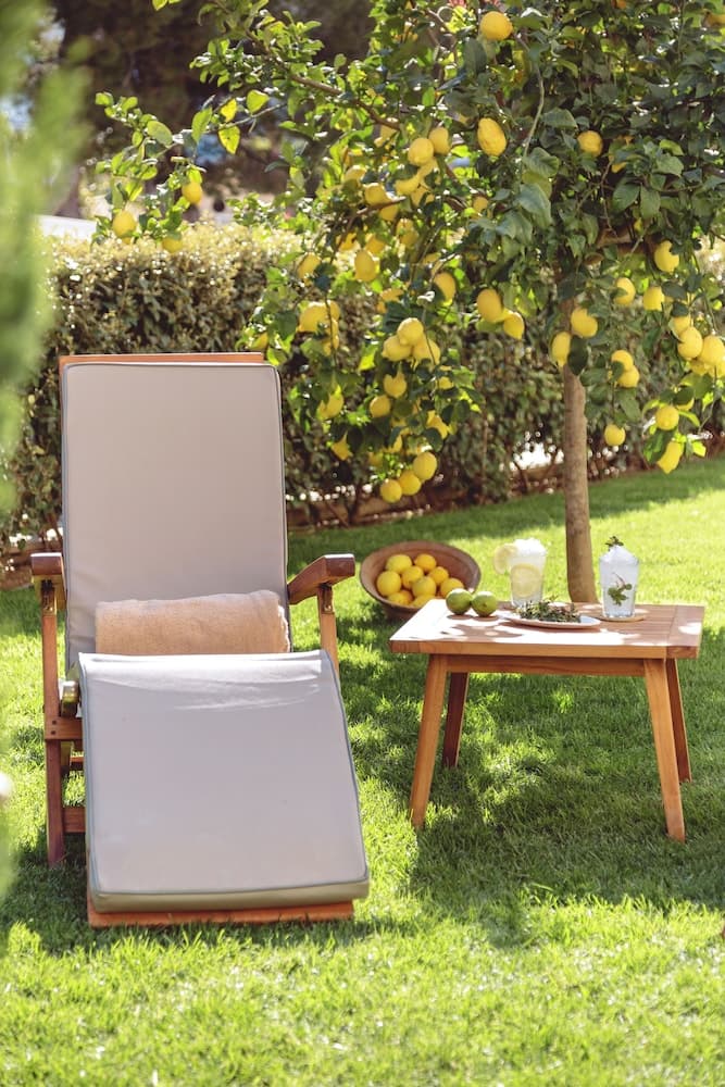 Myseahouse Hotel Flamingo - Solo per Adulti — 25
