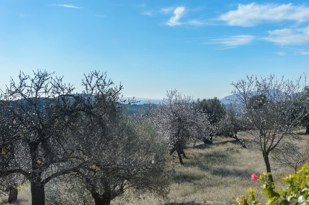 Agroturismo Can Prats — 7