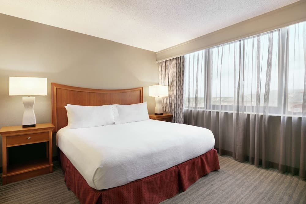 Embassy Suites by Hilton Orlando International Dr ICON Park — 6