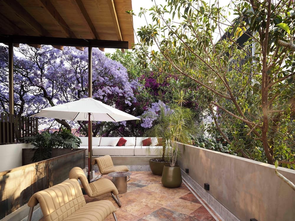 Hotel Dama — 4