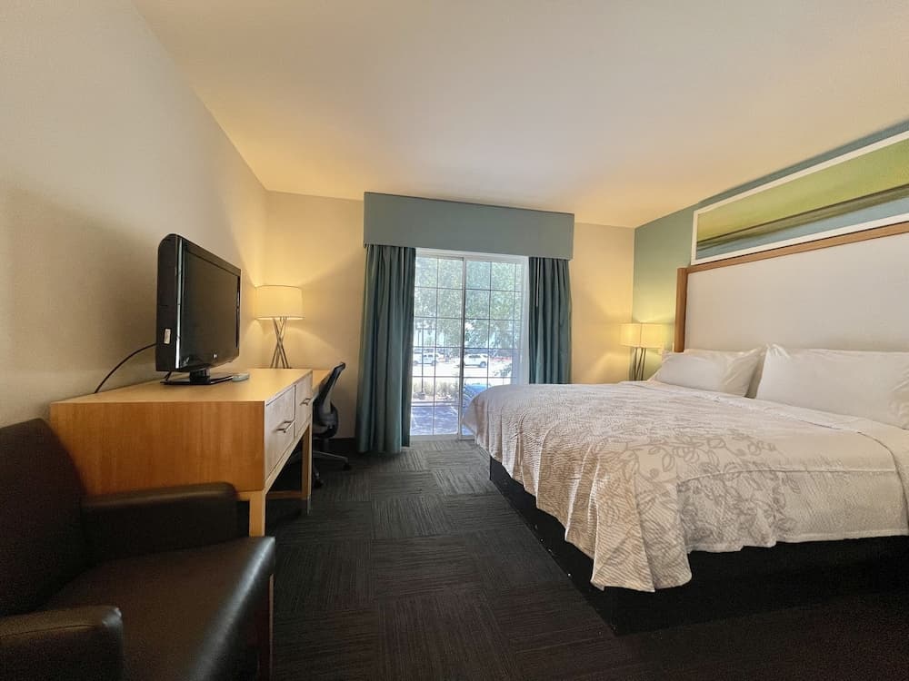 Red Roof Inn PLUS+ & Suites Tampa — 13