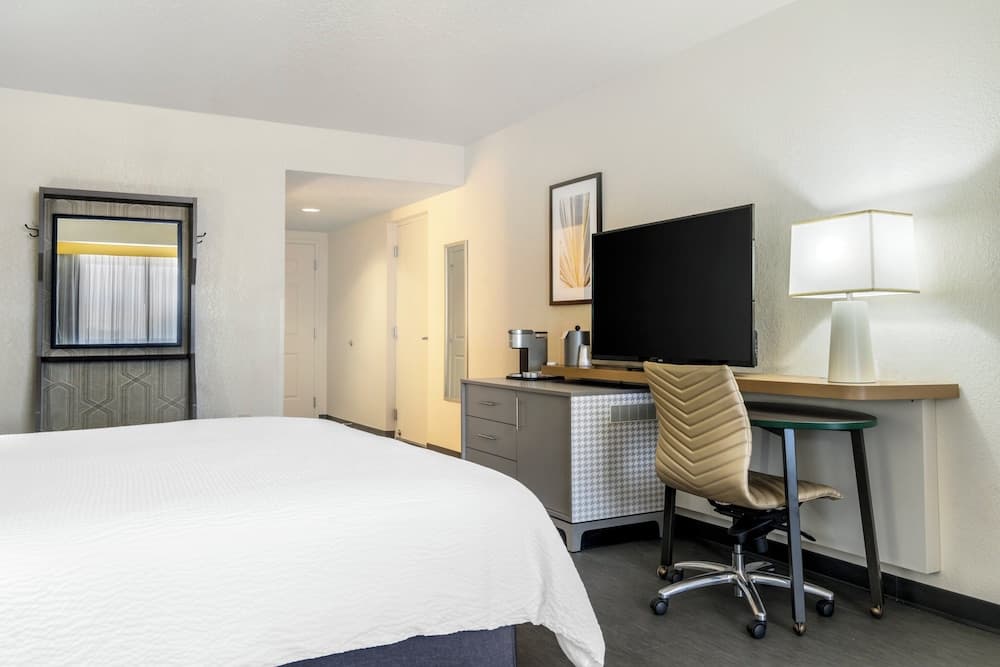 Holiday Inn Orlando International Dr-ICON by IHG — 19