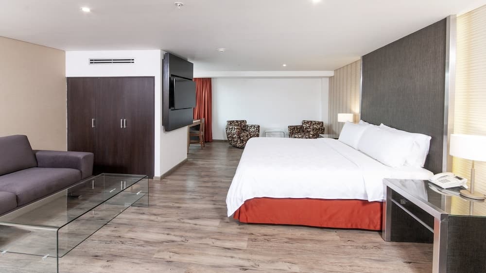 Holiday Inn Mexico Buenavista by IHG — 9