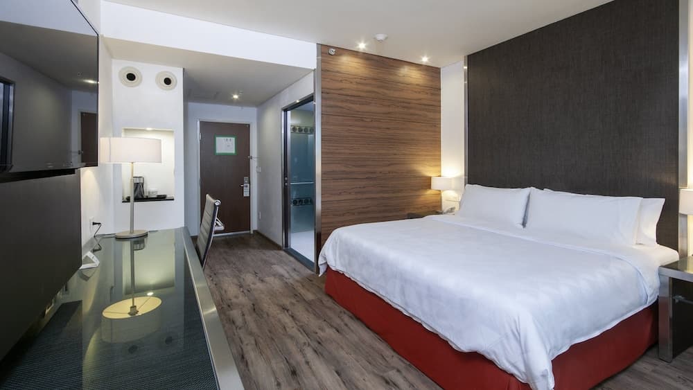 Holiday Inn Mexico Buenavista by IHG — 18