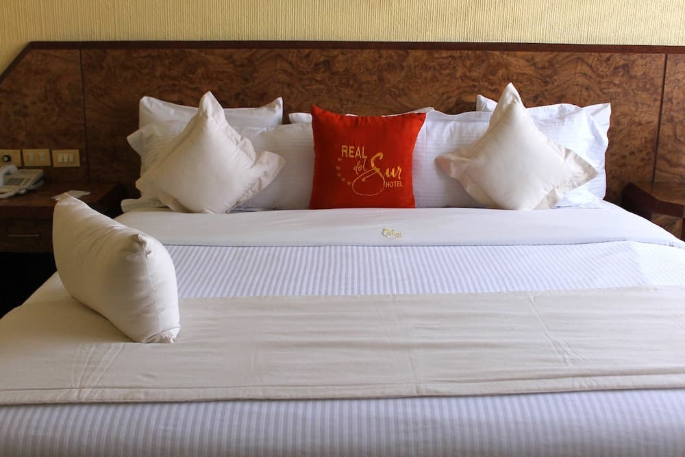 Hotel Real del Sur — 12