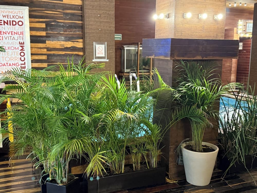 Hotel Kavia 5th Avenida — 19