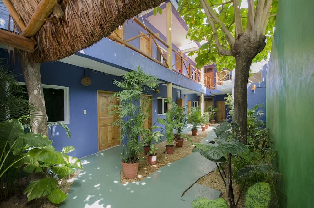 Casa Almendro — 1