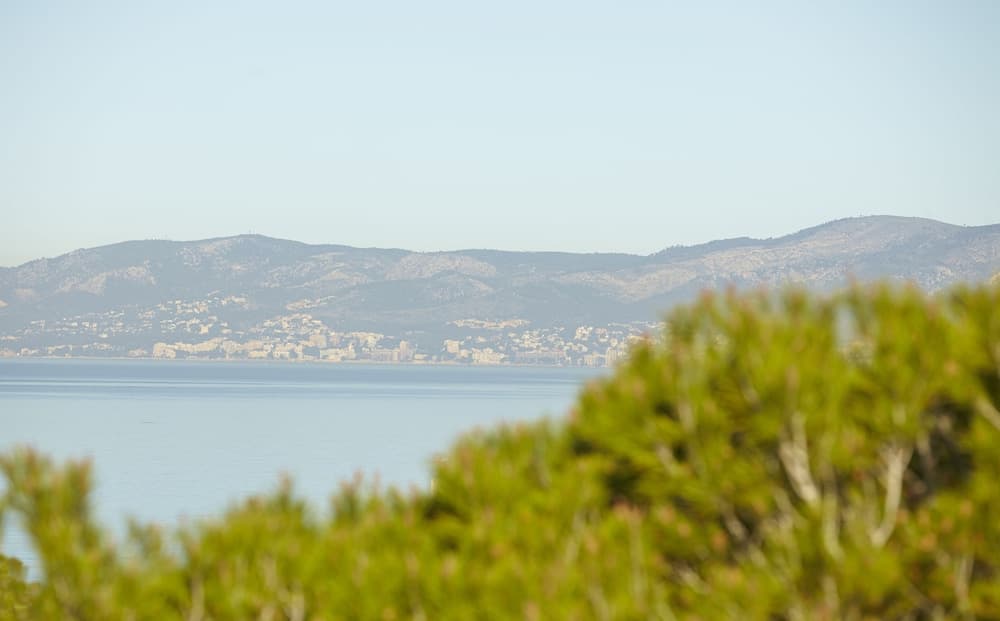 MLL Palma Bay Club Resort Hotel — 24