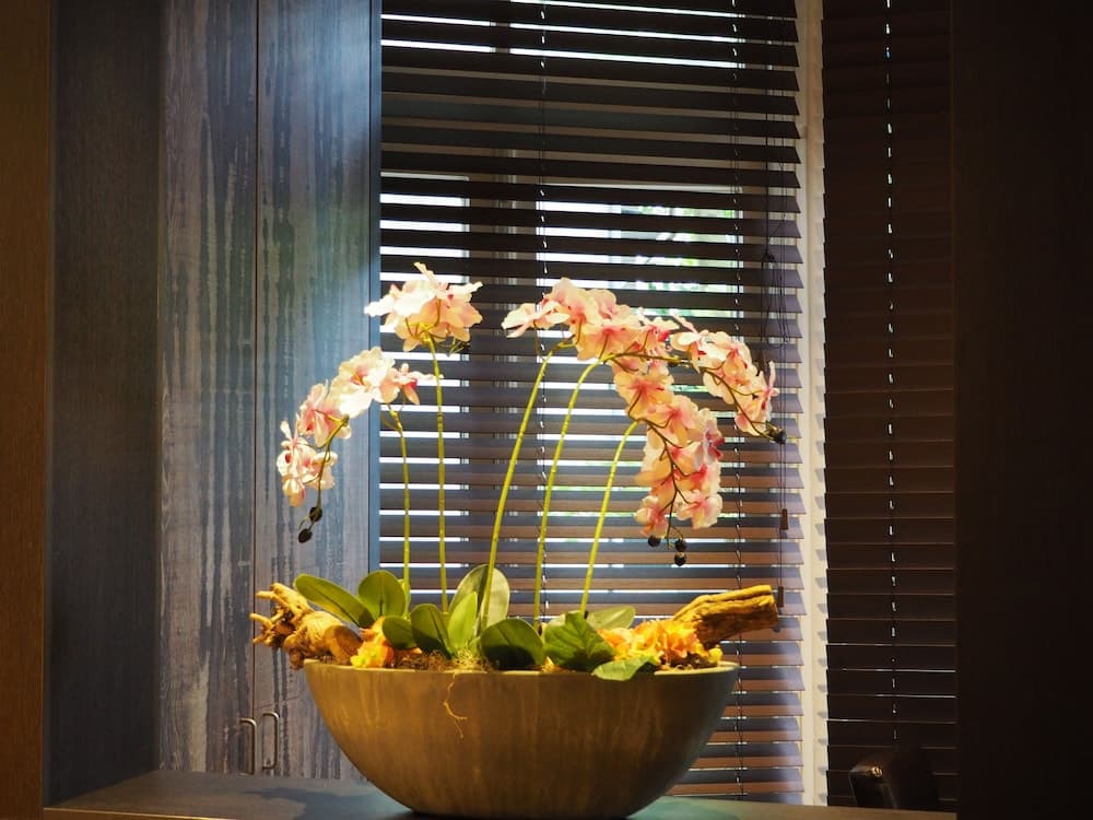 Hotel Blossoms — 13