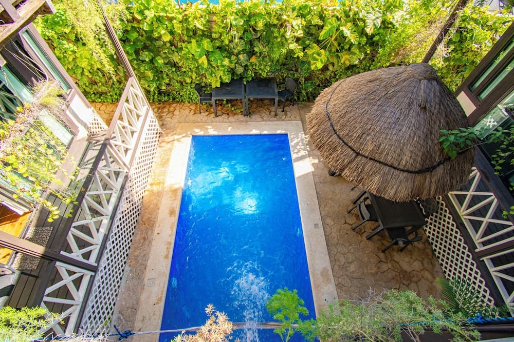 Alicat Villas — 4