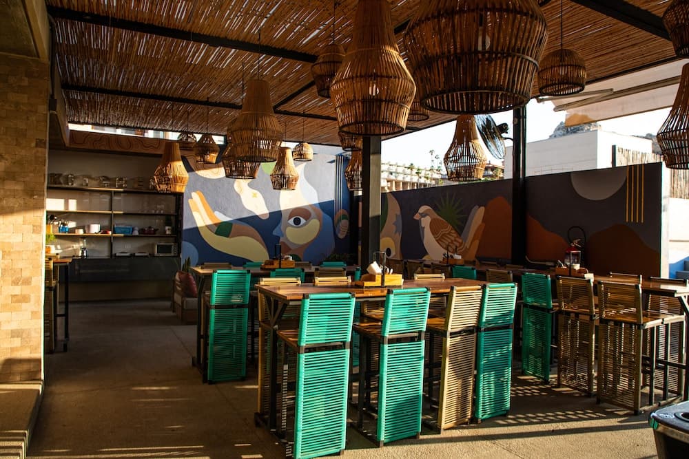 Mayan Monkey Los Cabos — 12